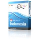 IQUALIF Indonésie Žlutá, Profesionálové, Obchodní