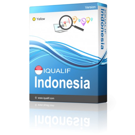 IQUALIF Indonézia Sárga, Profi, Üzleti